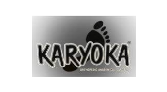 Obrázek pro výrobce Karyoka